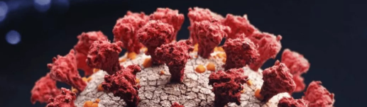 APHA: South Africa found the most ferocious new crown mutation, and 2 people in Hong Kong carried the virus